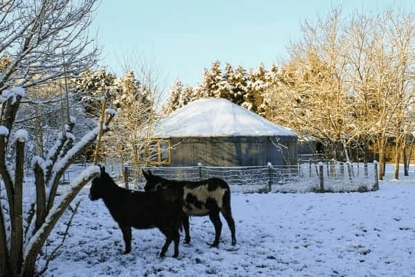 Un Noël original en famille